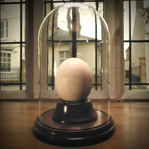 An Ostrich Egg on an Ornamental Stand in its Dome