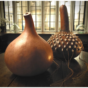A Plain Calabash Gourd
