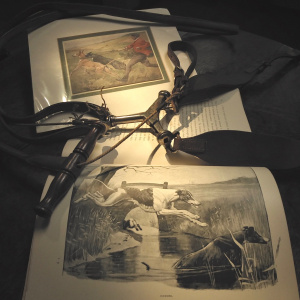 Crawfurd, Oswald (Editor) : A Year of Sport and Natural History