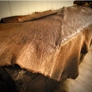 An Elephant Skin