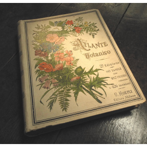 Atlante Botanico by Giovanni Briosi