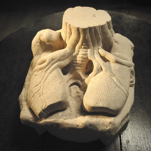 Amazon: The Lungs of the Planet 
