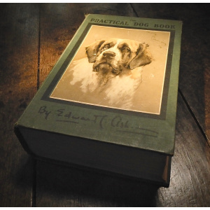 Ash, Edward C:  The Practical Dog Book