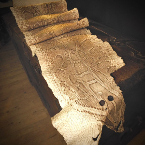 A Reticulated Python Skin