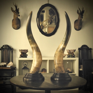 A Fine Hand-Painted Faux Tortoise-Shell Oval Mirror